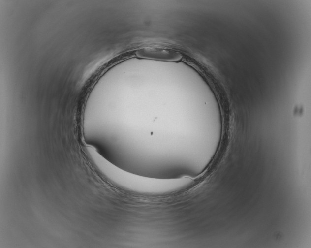 X0000110691261200907021925