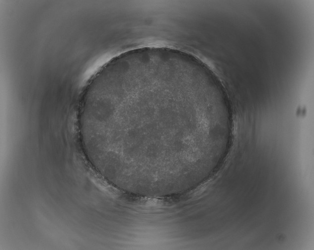 X0000110691263200907021925