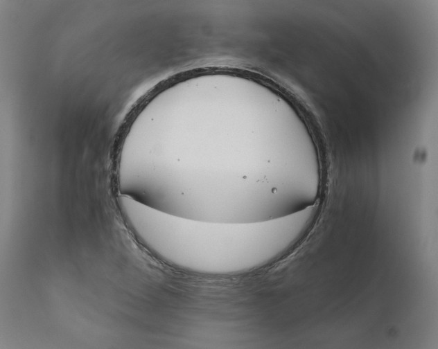 X0000110691264200907021925