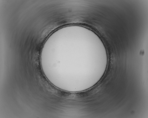 X0000110691265200907021925