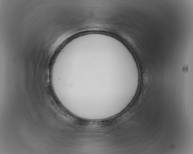 X0000110691267200907021925