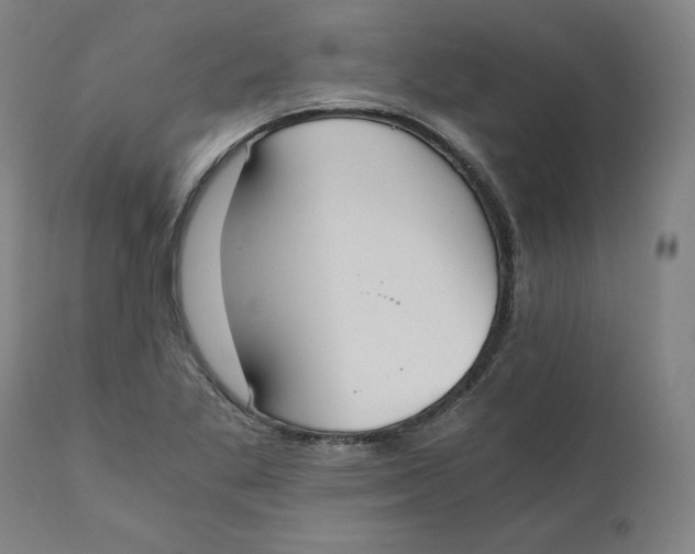 X0000110691269200907021925