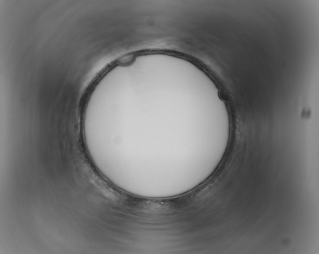 X0000110691270200907021925