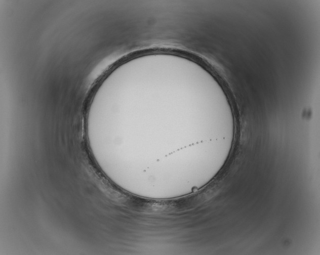 X0000110691271200907021925