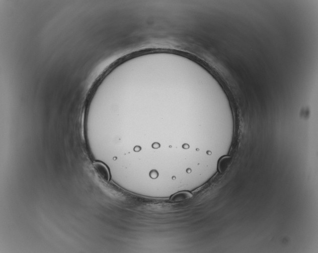 X0000110691272200907021925