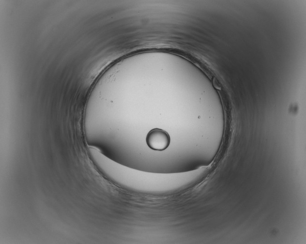 X0000110691273200907021925