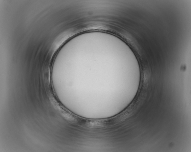 X0000110691274200907021925