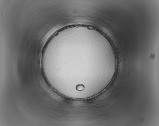 X0000110691275200907021925