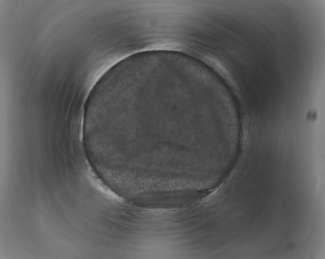 X0000110691276200907021925