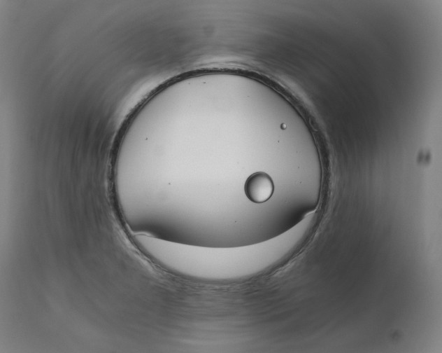 X0000110691277200907021925