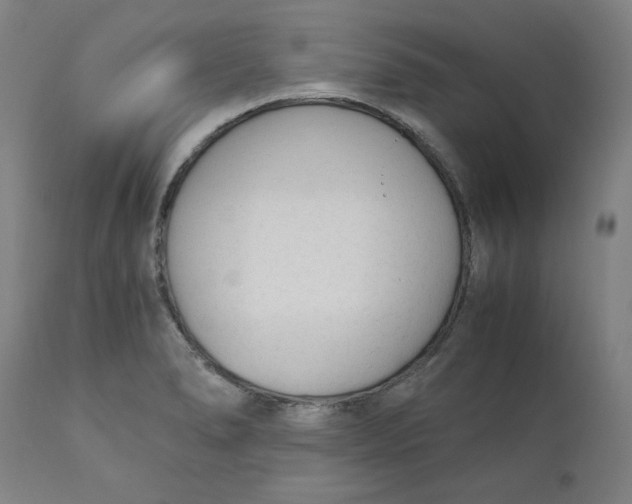 X0000110691278200907021925