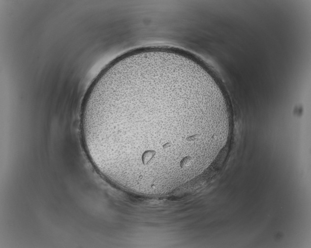 X0000110691279200907021925