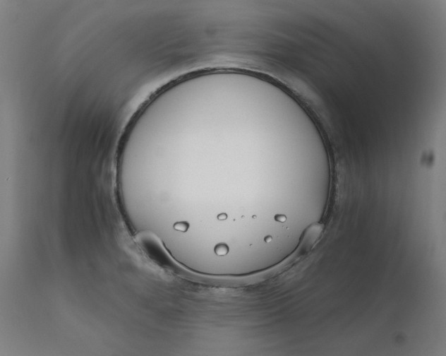 X0000110691280200907021925