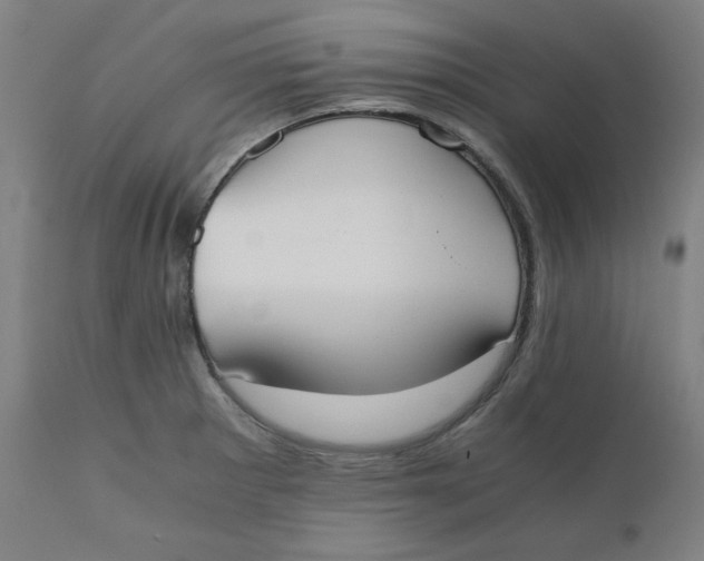 X0000110691281200907021925