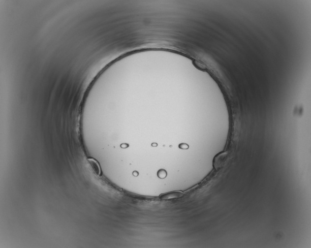 X0000110691284200907021925