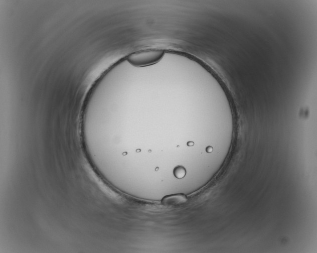 X0000110691285200907021925