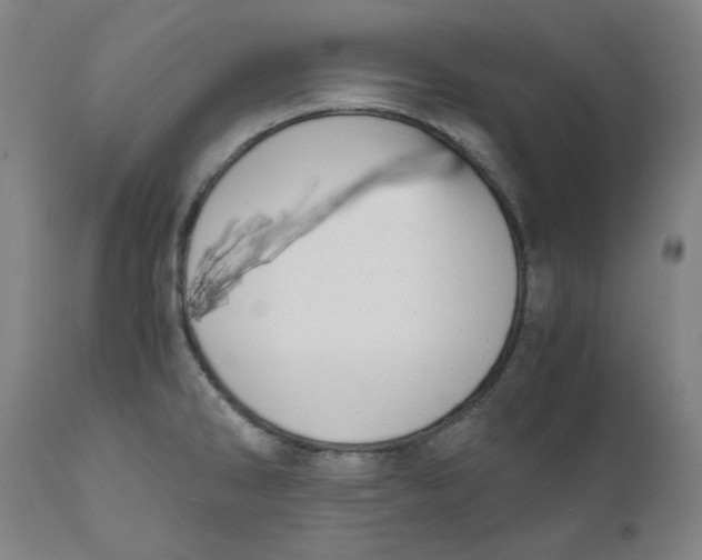 X0000110691286200907021925