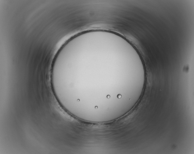 X0000110691288200907021925