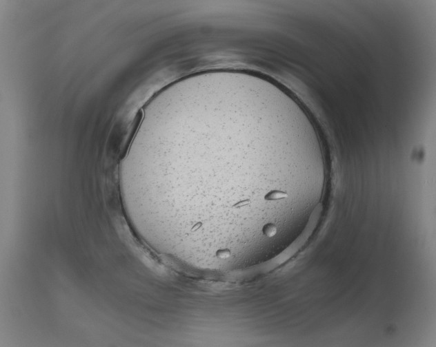 X0000110691289200907021925