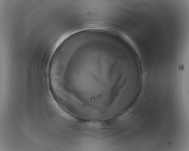 X0000110691291200907021925