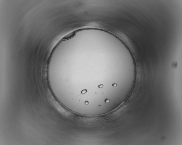 X0000110691292200907021925