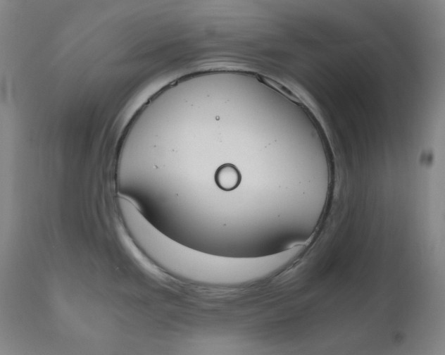 X0000110691293200907021925