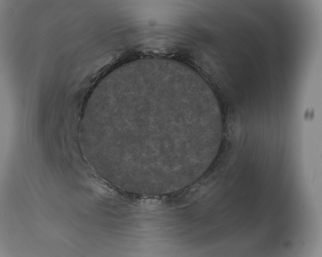 X0000110691297200907021924