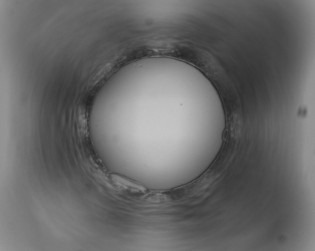 X0000110691298200907021924