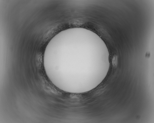 X0000110691299200907021924