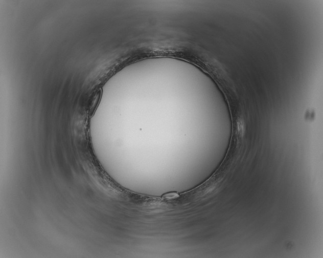 X0000110691300200907021924