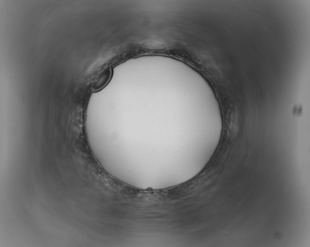 X0000110691301200907021924