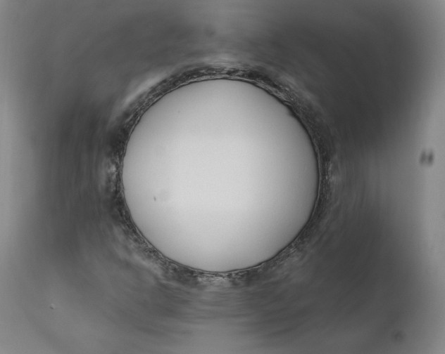 X0000110691302200907021924