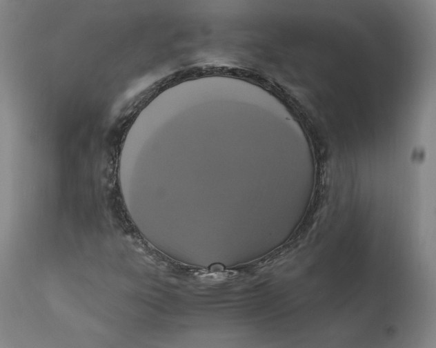 X0000110691303200907021924