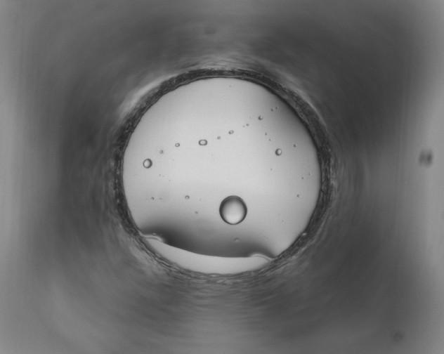 X0000110691304200907021924