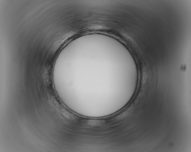 X0000110691305200907021924