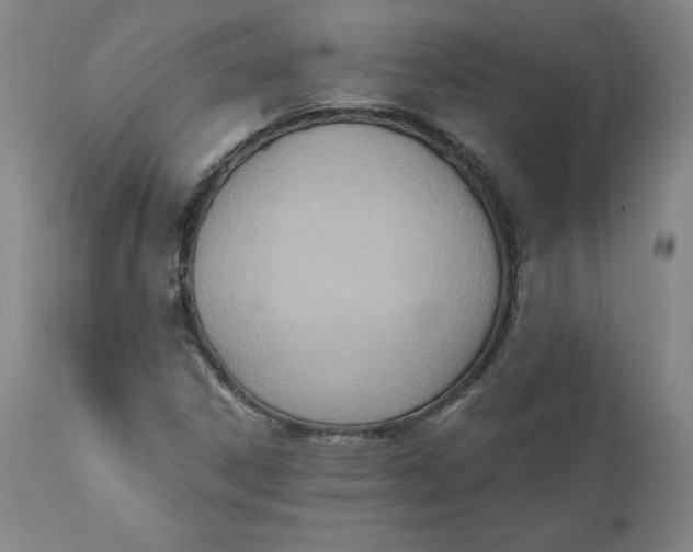 X0000110691306200907021924