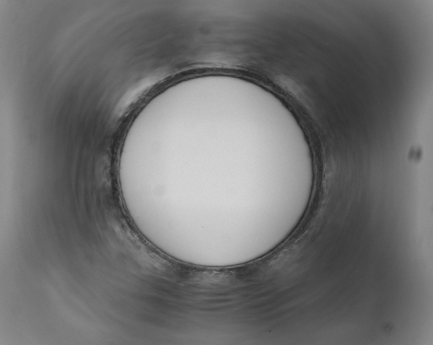 X0000110691307200907021924