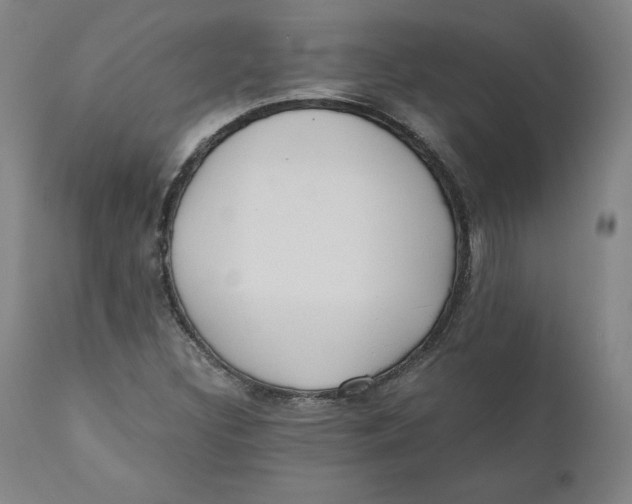 X0000110691308200907021924