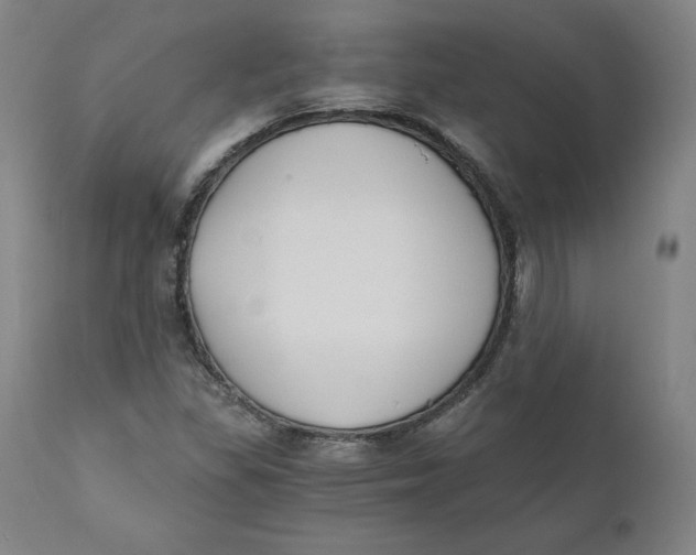 X0000110691309200907021924