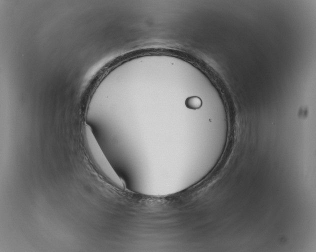 X0000110691310200907021924