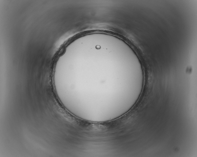 X0000110691312200907021924