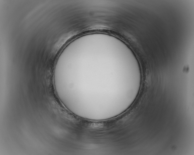 X0000110691313200907021924