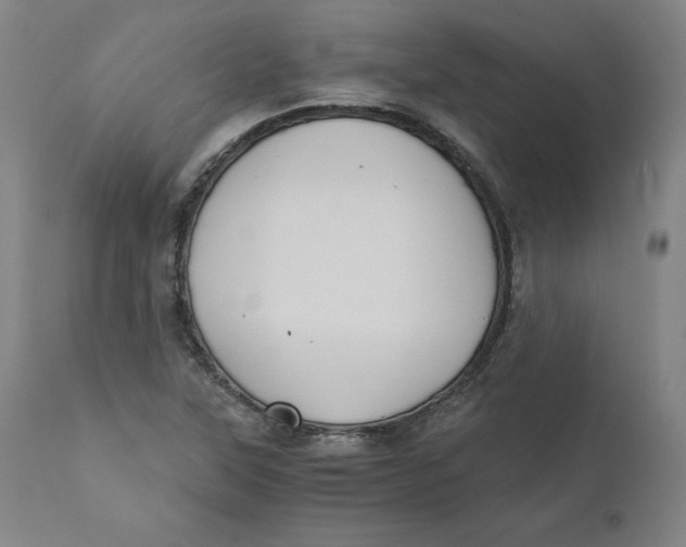 X0000110691315200907021924