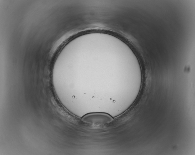 X0000110691318200907021924