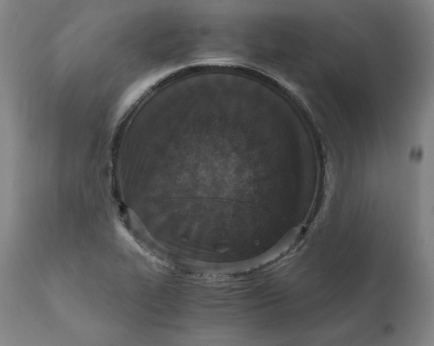 X0000110691319200907021924