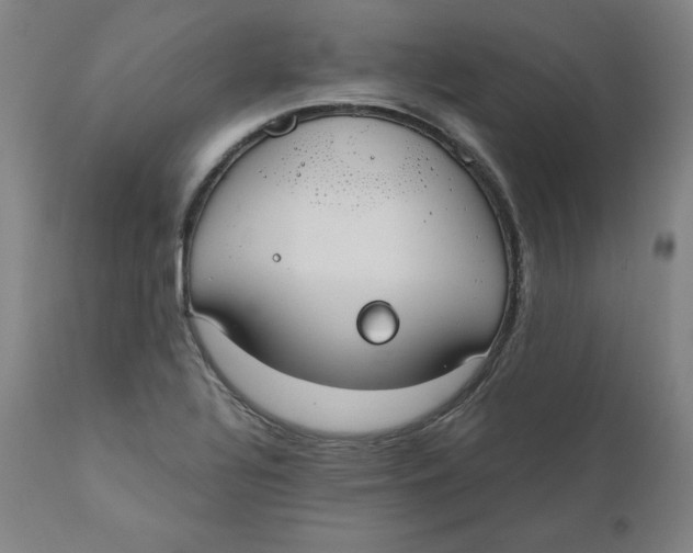 X0000110691320200907021924