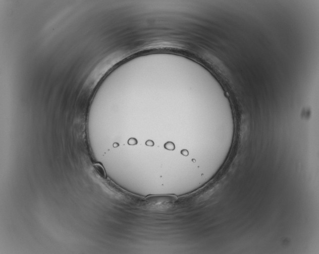 X0000110691321200907021924