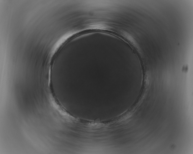 X0000110691323200907021924