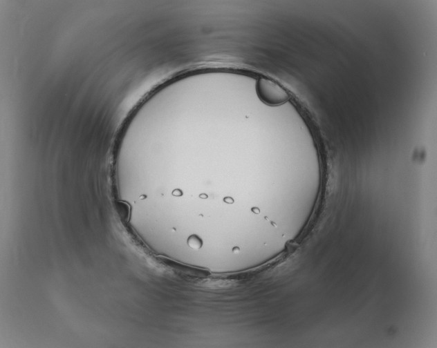 X0000110691325200907021924