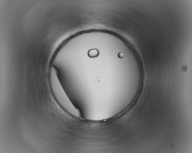 X0000110691326200907021924